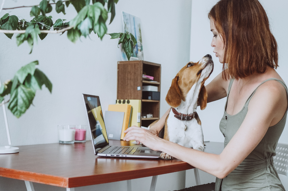 Woman working on a laptop with dog standing on a table next to her. Work the way ou you want.
